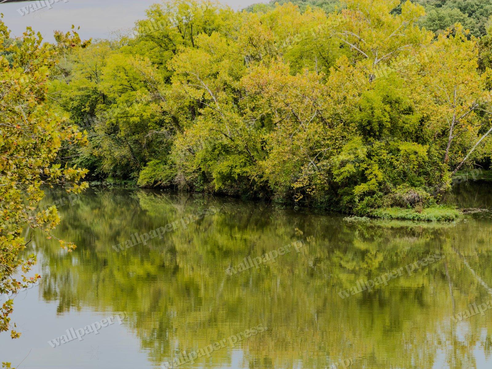 Greenery Reflected