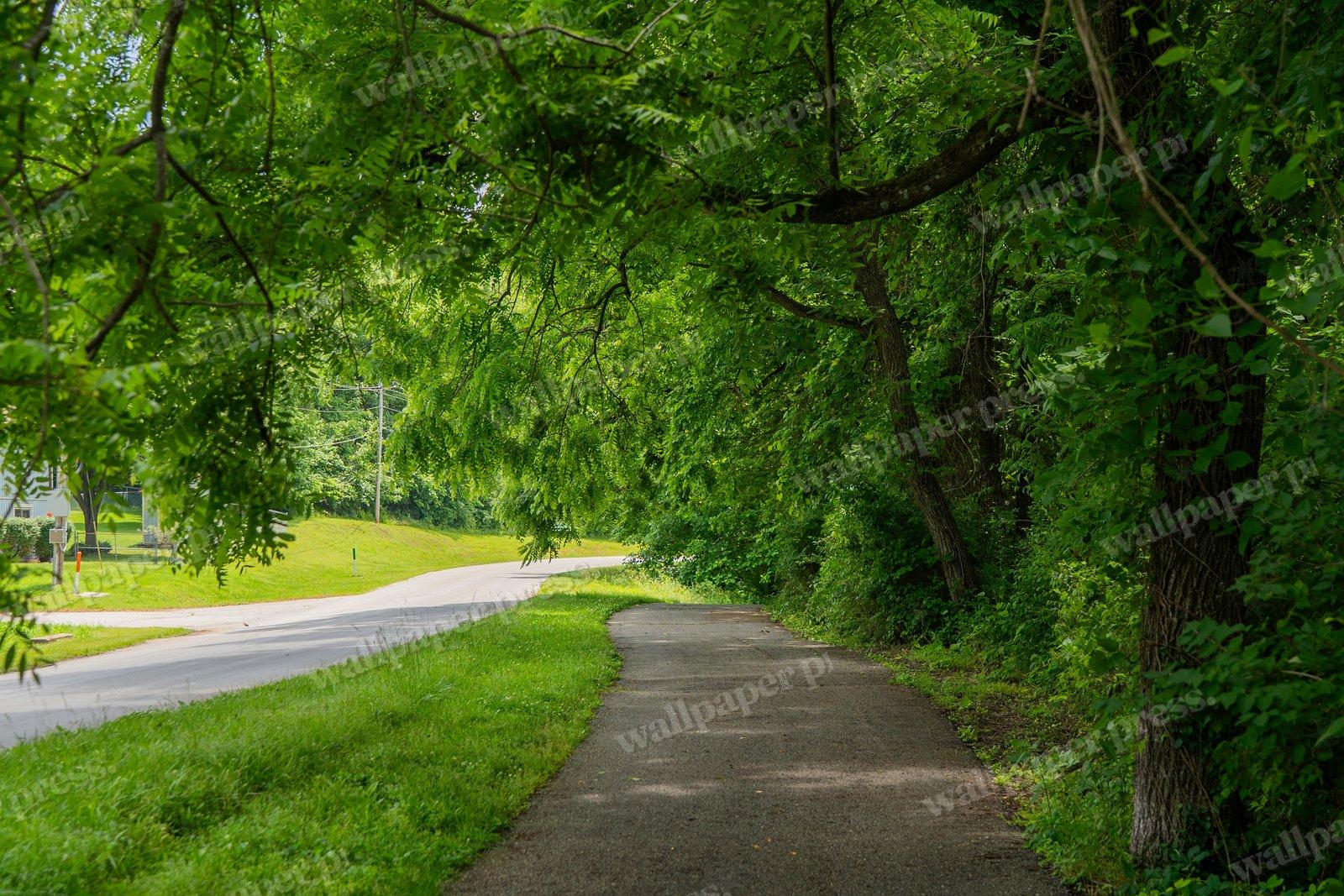 The Way