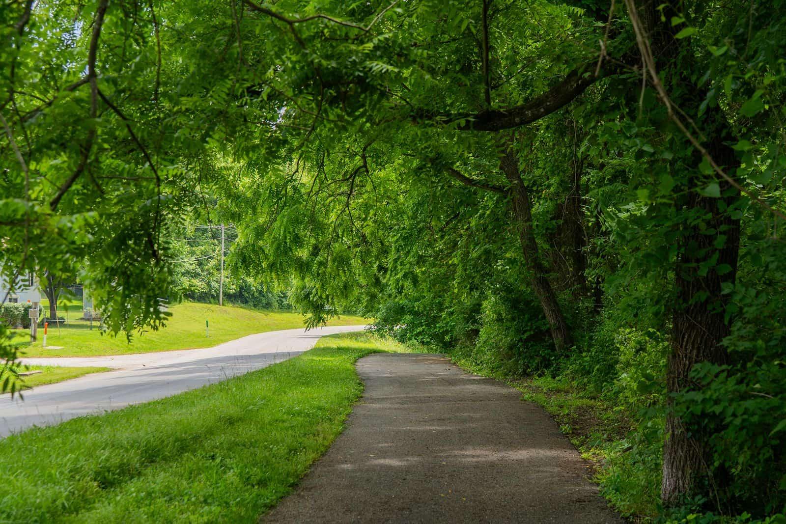 The Way